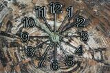 Wide Arizona Petrified Wood Clock #66833-1